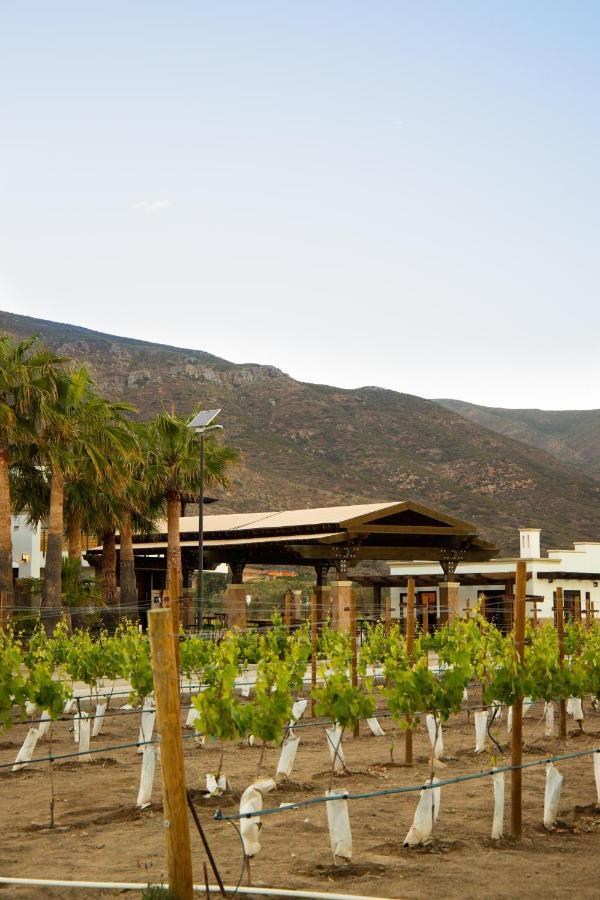 Limbo Hotel Boutique Valle de Guadalupe Exterior foto